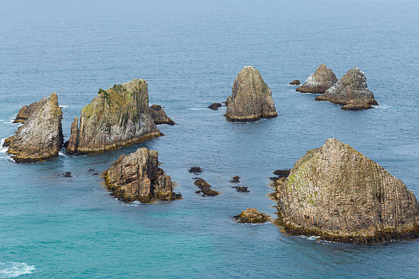 istock Nugget Point New Zealand 481086298