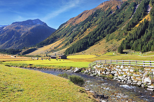istock Headwaters of waterfalls 481086676