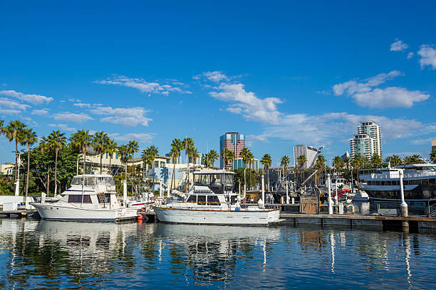 istock Long Beach Marina and city skyline, California. 481086746