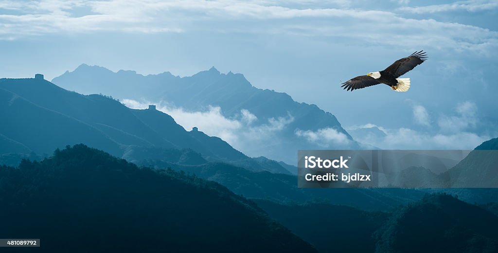 Eagle flying over mist mountains in the morning - Royalty-free Arend Stockfoto
