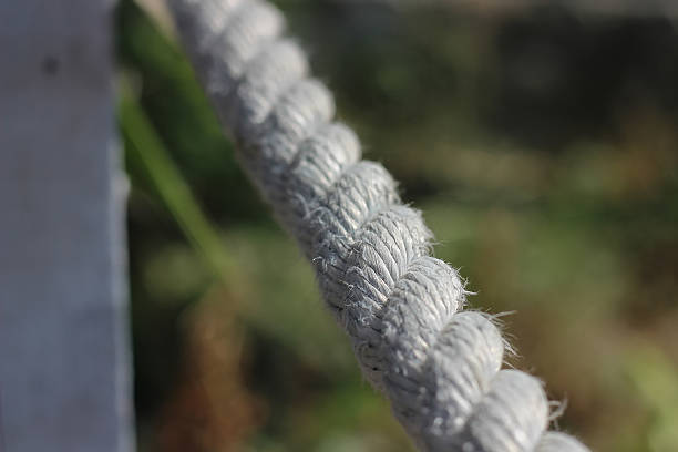 istock Marine rope in closeup 481090312