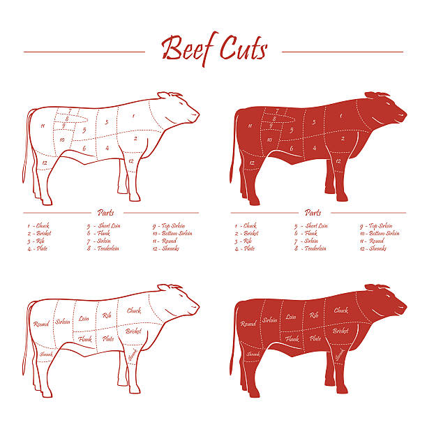 ilustrações de stock, clip art, desenhos animados e ícones de carne esquema de cortes de carne de - portion