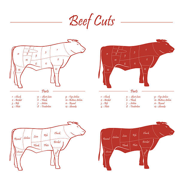 BEEF MEAT CUTS SCHEME Set of meat cuts diagram in outline and full fill style - red on white background animal muscle stock illustrations
