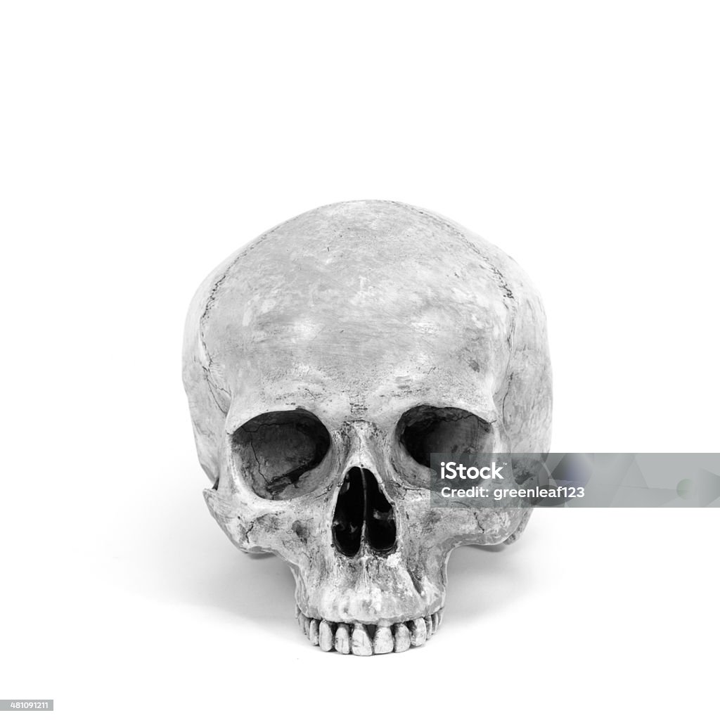 Un teschio umano isolato su sfondo bianco - Foto stock royalty-free di Assenza