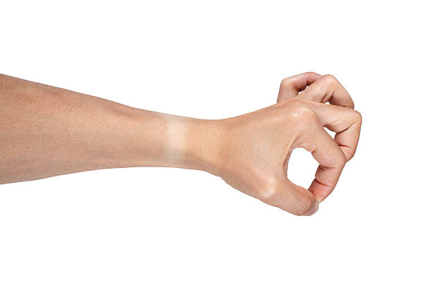 istock Pinch hand isolated on white 481091928