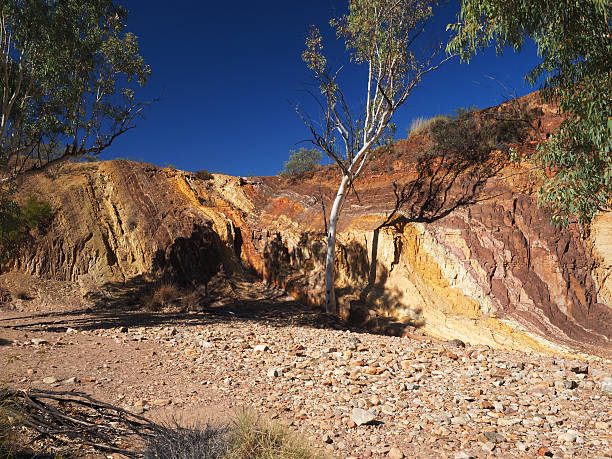 охра подкладкой стены и дерево в драй крик - aboriginal art australia cave painting стоковые фото и изображения