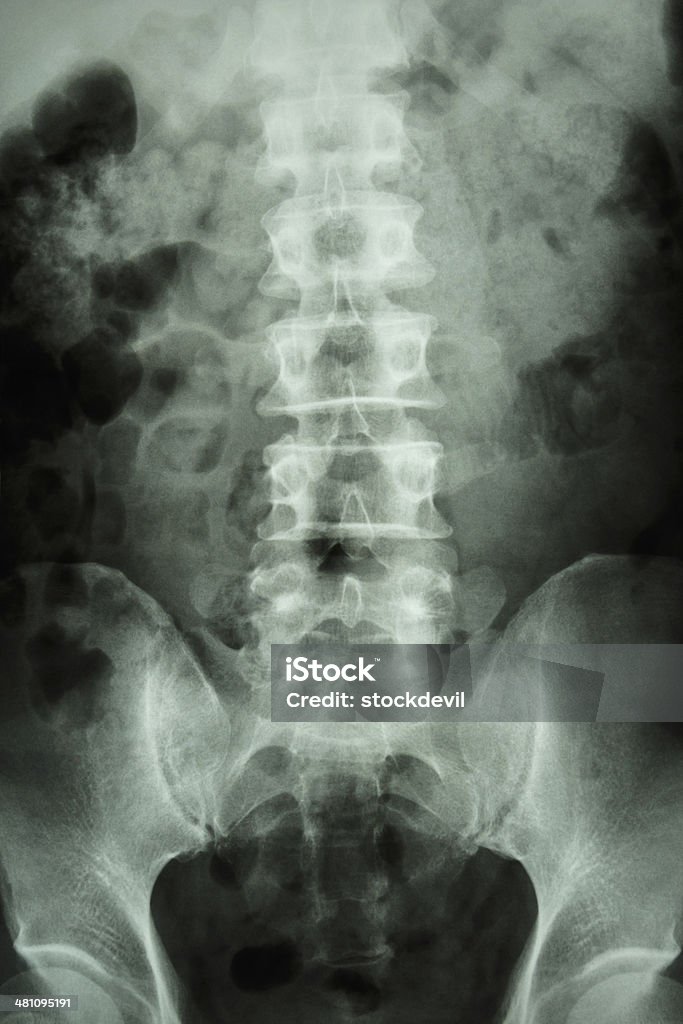 Normalen der Lendenwirbelsäule-Kreuzbein Wirbelsäule - Lizenzfrei Anatomie Stock-Foto