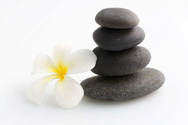 istock Zen stones with frangipani flower 481095622