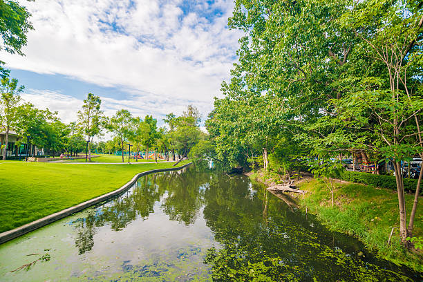 istock Fresh public Park. Lake in the summer. 481098252