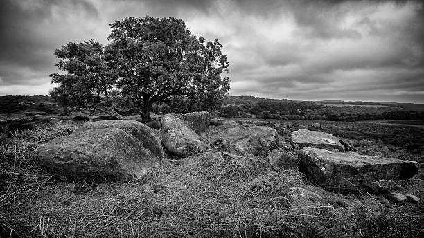 istock Views Of The Peak District 481098328