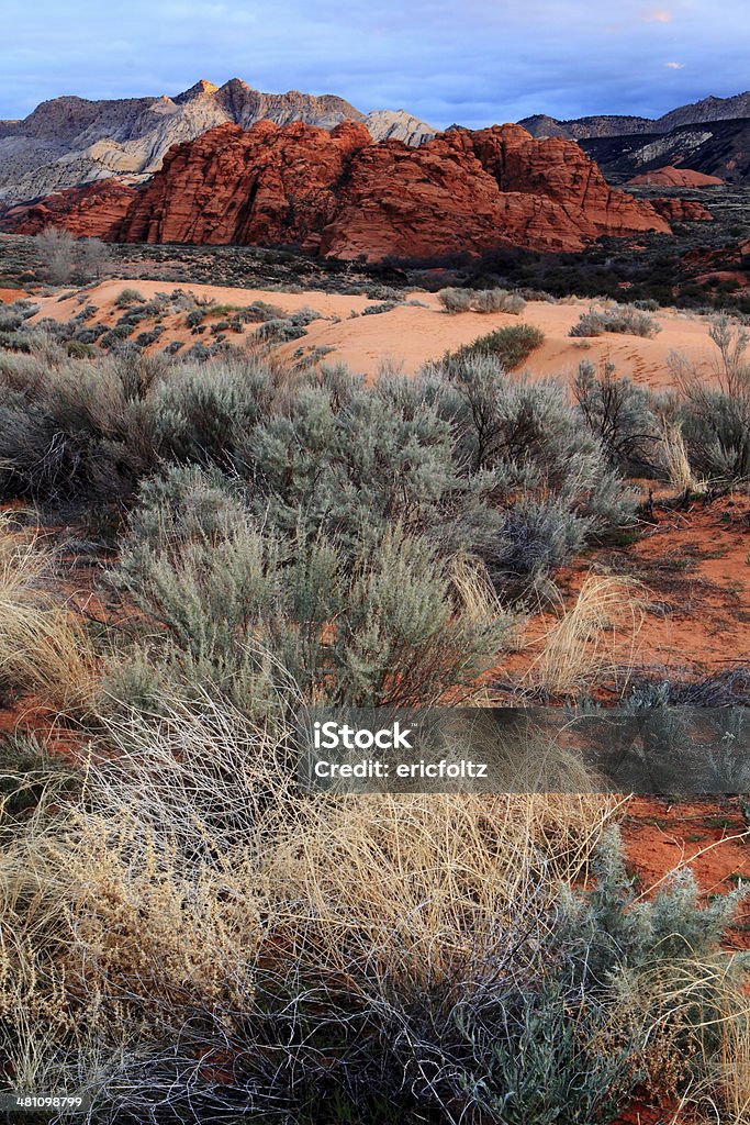 Manhã na neve Canyon State Park - Foto de stock de Parque Estatal de Snow Canyon royalty-free