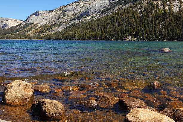 istock Picturesque shallow lake 481100122