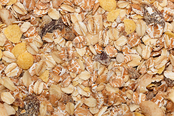 muesli para o padrão de fundo - oat whole wheat cereal plant oat flake imagens e fotografias de stock