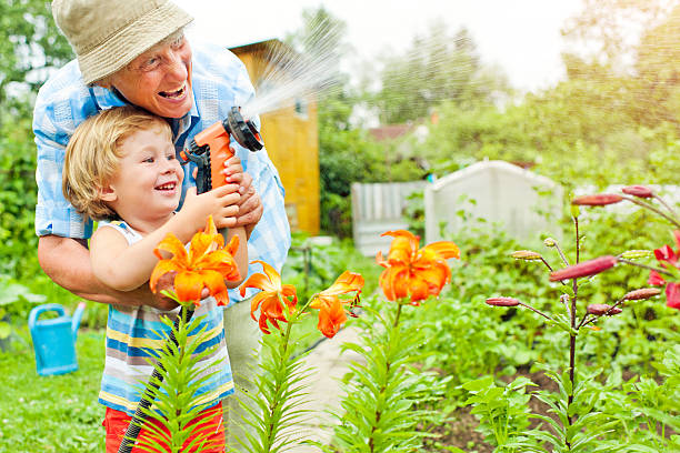 祖母と孫のガーデン - grandparent gardening child grandchild ストックフォトと画像