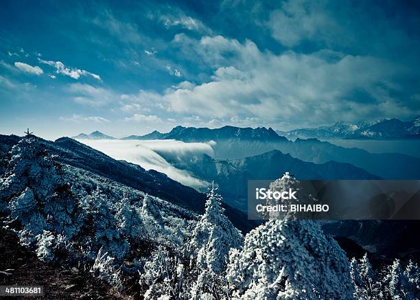 Bellezza Naturale - Fotografie stock e altre immagini di Ambientazione esterna - Ambientazione esterna, Ambientazione tranquilla, Area selvatica