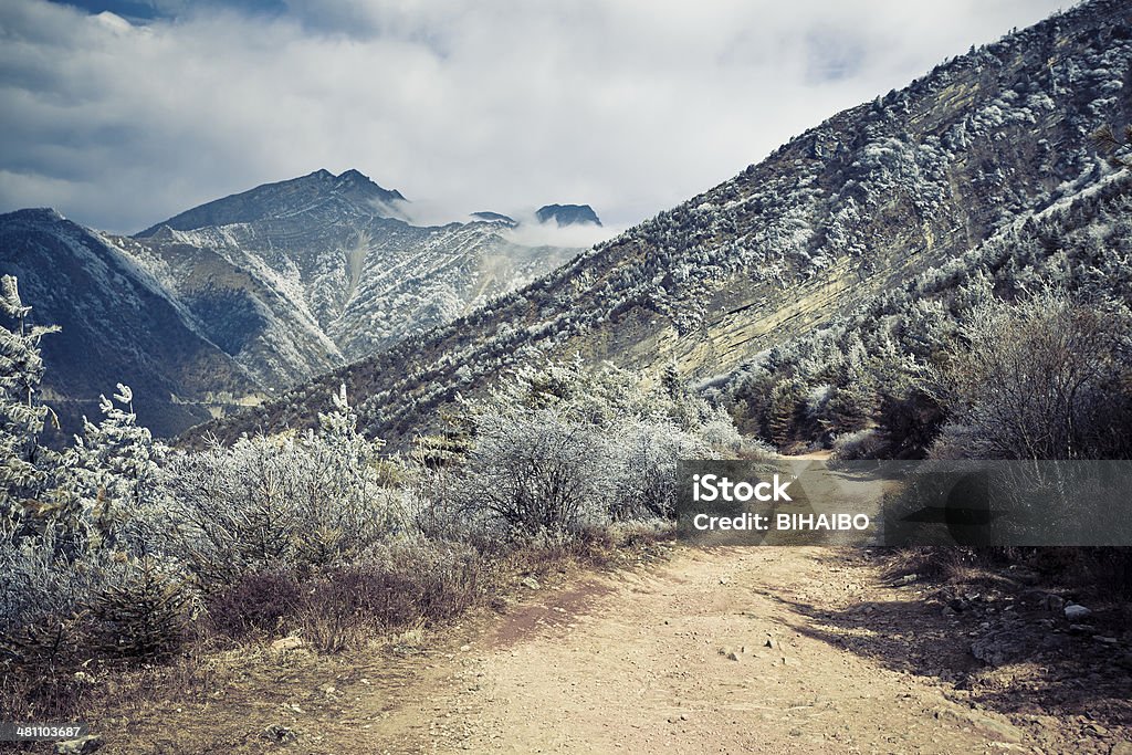 Beauty In Nature climb up top of “cattle's back” mountain with 3600 meters to take pictures of Minya Konka. Asia Stock Photo