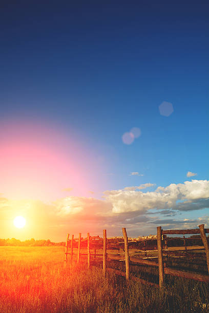 istock Fence in the green field under blue cloud sky 481105400