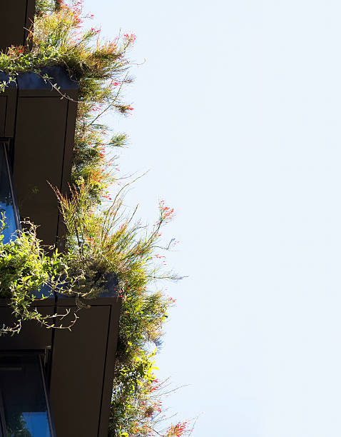 istock Closeup balconies with plants against blue background, copy space 481106813