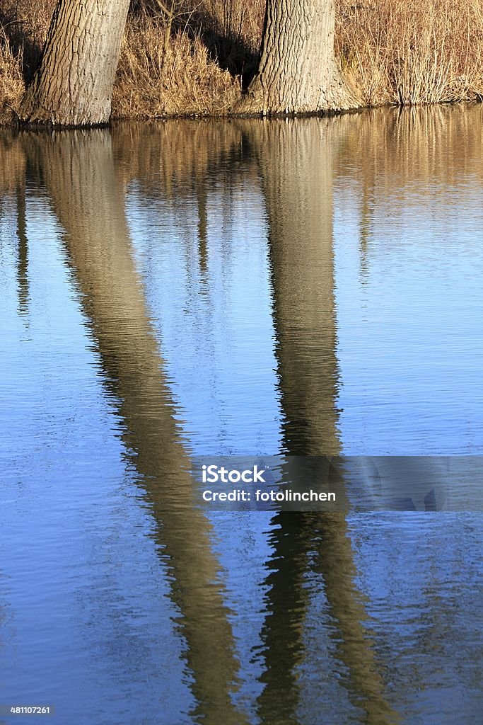 Baum und Wasser - Lizenzfrei Baum Stock-Foto