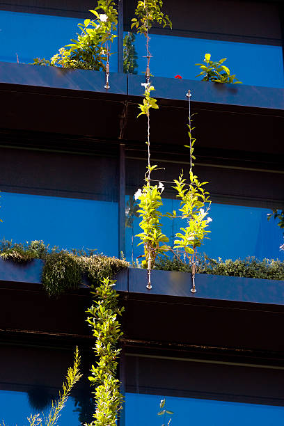 istock Closeup Vertical garden on apartment building 481107935