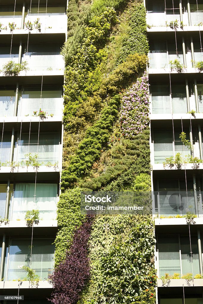 Vertical garden-green wall on apartment building Low angle view of Green wall-BioWall or living wall is a wall covered with living plants on residential tower, Sydney Australia, full frame vertical composition Building Exterior Stock Photo