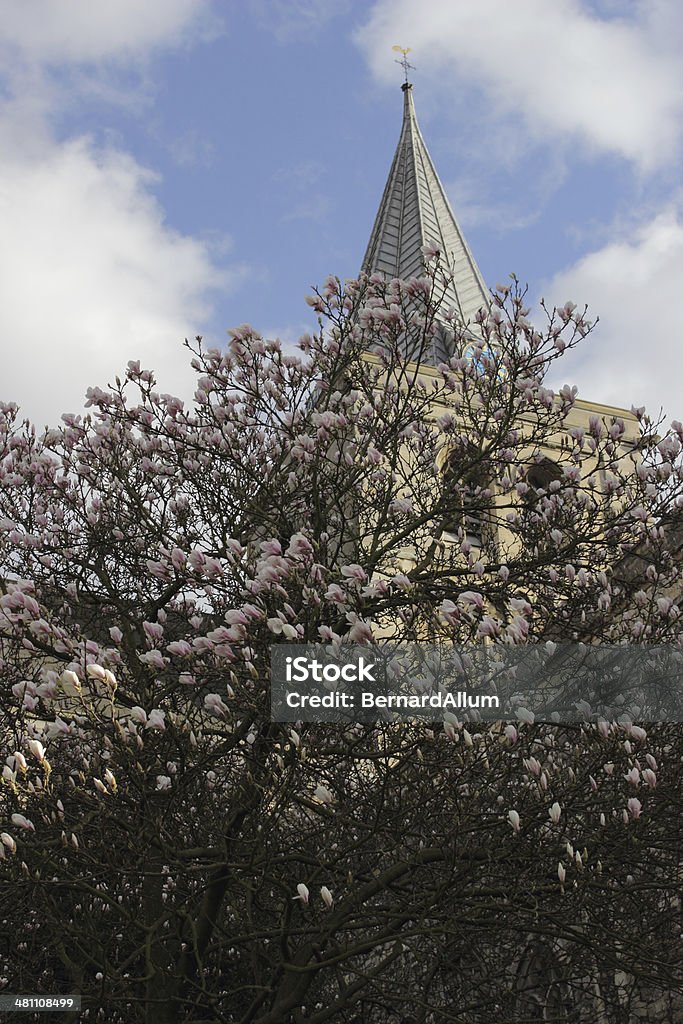 Cathédrale de Rochester, dans le Kent - Photo de Cathédrale libre de droits