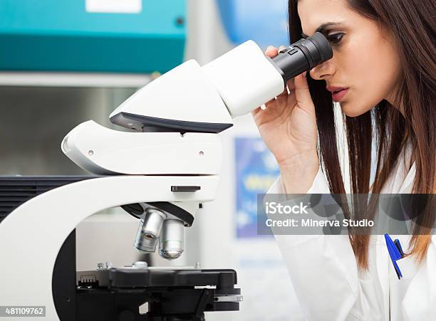 Researcher At Work Stock Photo - Download Image Now - 2015, Adult, Analyzing