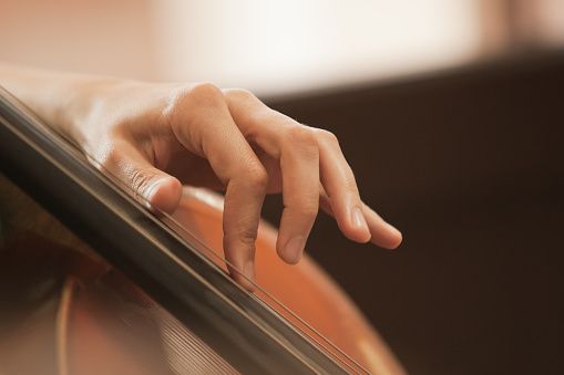 The woman's fingers on the strings of a cello