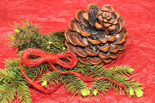 istock Christmas arrangement on red background 481112452