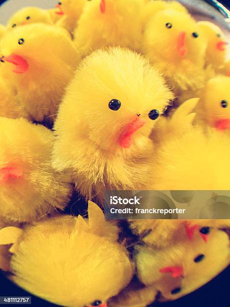 Yellow Easter Chicken Stock Photo - Download Image Now - Baby Chicken, Chicken - Bird, Close-up