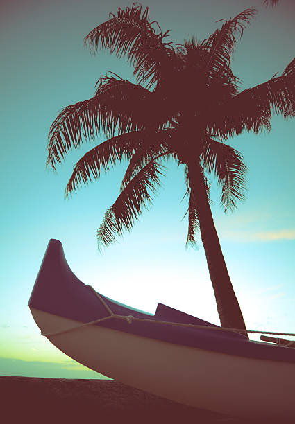 retro canoa y palm tree - hawaii islands maui big island tropical climate fotografías e imágenes de stock