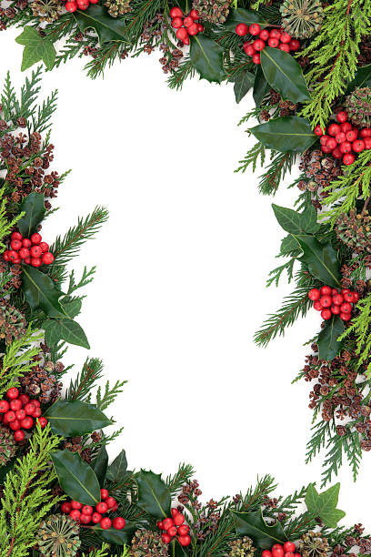 istock Holly and Winter Flora Border 481115192