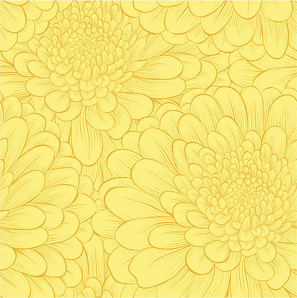 piękne bezszwowe wzór z ręcznie rysowane kwiaty. - chrysanthemum single flower flower pattern stock illustrations