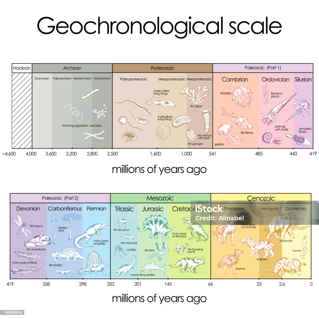 Geochronological scale Geochronological scale. International chronostratigraphic units Geologic Time Scale stock vector