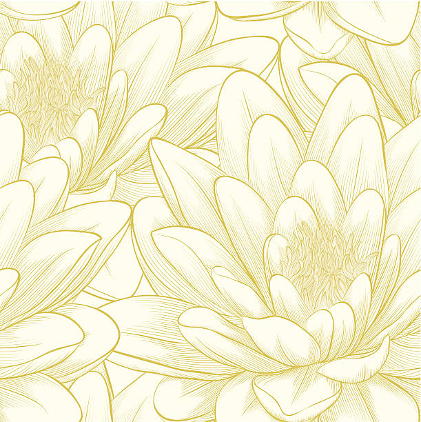 bezszwowe wzór z lotus kwiaty. - water lily single flower flower water stock illustrations