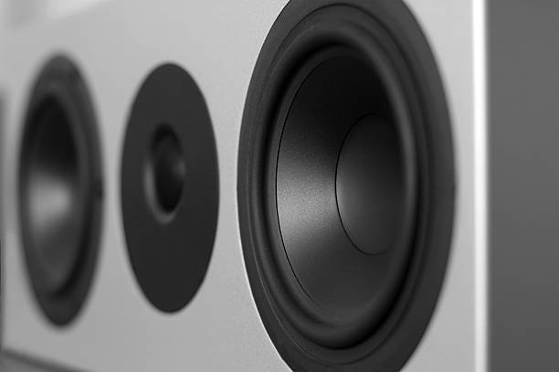 istock Close-up of a high end audio system speaker 481116814