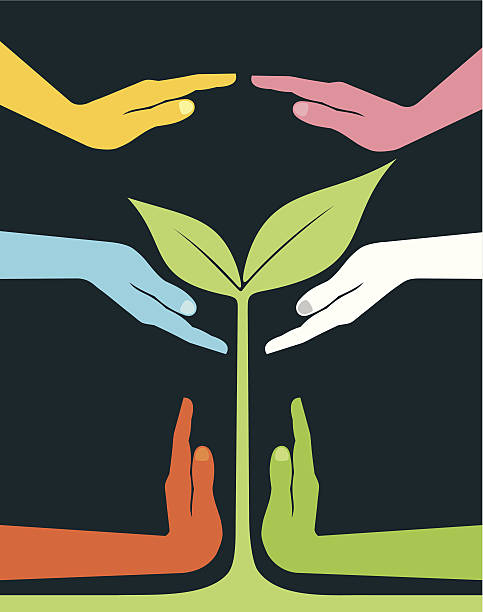 Supporting team Multicolred hands supporting a growing plant. dedication stock illustrations