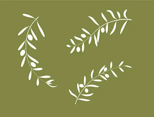 Vector illustration of Olive branch