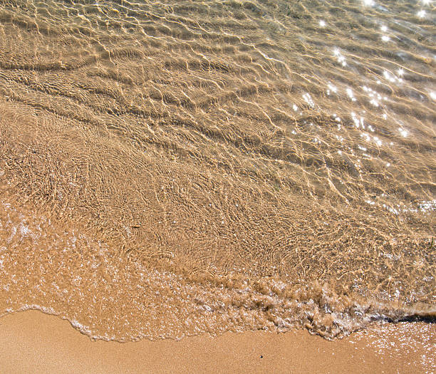 istock Sea waves roll on yellow fine sand 481123570