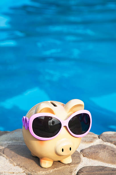 istock Summer piggy bank 481125068
