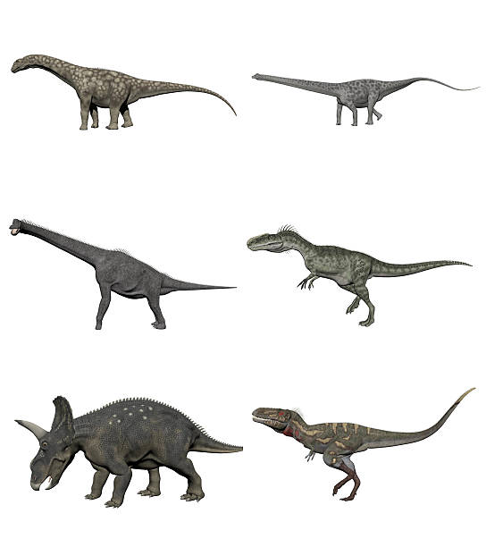 Set of dinosaurs - 3D render stock photo