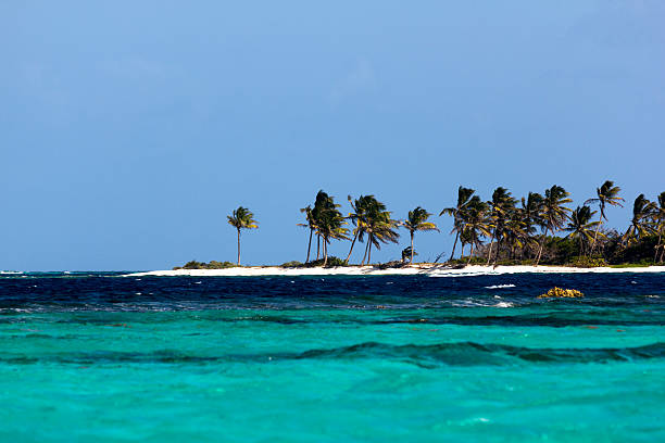 L'île antillaise d'Petit Tabac, à Tobago. - Photo