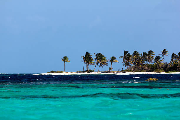 Ilha das Caraíbas de Petit Tabac, Tobago Cays. - fotografia de stock