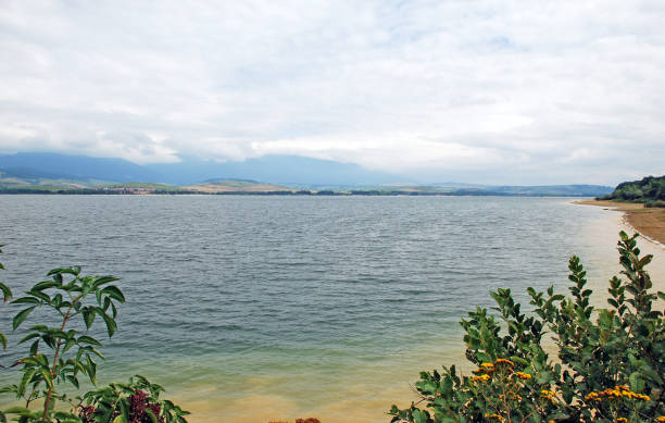 istock Landscape of a lake 481136712