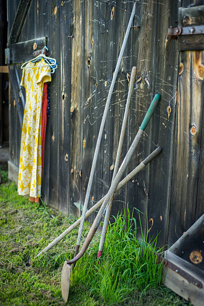 istock Life on the Farm 481137052