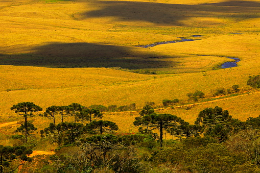 Please, you can see in the link below Landscapes of southern Brazil, border with Uruguay and Argentina: beautiful pampa gaucho, fields, sunsets, sunrises, canyons, estancias (ranch, farms) and much more!!