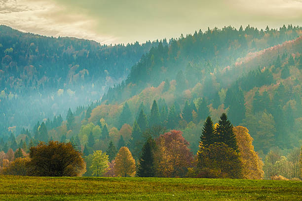 istock misty morning in the mountains 481138123
