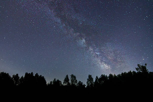 istock Milky Way galaxy deep forest beautiful night sky 481140602