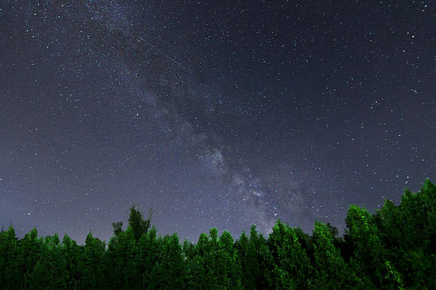 istock Milky Way galaxy green forest beautiful night sky 481140604