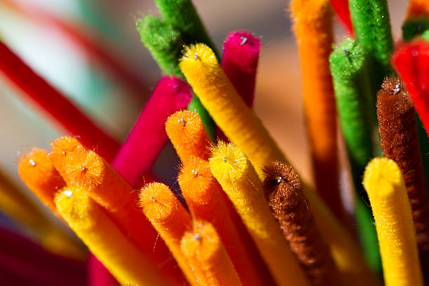 380+ Pipe Cleaner Stock Photos, Pictures & Royalty-Free Images - iStock